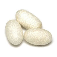 روغن پیله ابریشم